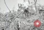 Image of 11th Marine Division Peleliu Palau Islands, 1944, second 50 stock footage video 65675022917