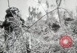 Image of 11th Marine Division Peleliu Palau Islands, 1944, second 51 stock footage video 65675022917