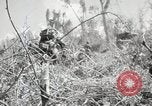 Image of 11th Marine Division Peleliu Palau Islands, 1944, second 52 stock footage video 65675022917