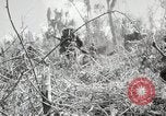 Image of 11th Marine Division Peleliu Palau Islands, 1944, second 53 stock footage video 65675022917
