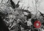 Image of 11th Marine Division Peleliu Palau Islands, 1944, second 56 stock footage video 65675022917