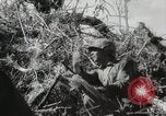 Image of 11th Marine Division Peleliu Palau Islands, 1944, second 57 stock footage video 65675022917