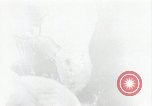 Image of 11th Marine Division Peleliu Palau Islands, 1944, second 31 stock footage video 65675022918