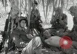 Image of 11th Marine Division Peleliu Palau Islands, 1944, second 51 stock footage video 65675022918