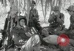 Image of 11th Marine Division Peleliu Palau Islands, 1944, second 52 stock footage video 65675022918