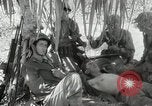 Image of 11th Marine Division Peleliu Palau Islands, 1944, second 53 stock footage video 65675022918