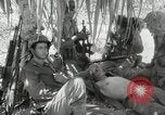 Image of 11th Marine Division Peleliu Palau Islands, 1944, second 58 stock footage video 65675022918