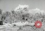 Image of 11th Marine Division Peleliu Palau Islands, 1944, second 60 stock footage video 65675022918