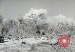 Image of 11th Marine Division Peleliu Palau Islands, 1944, second 61 stock footage video 65675022918