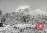 Image of 11th Marine Division Peleliu Palau Islands, 1944, second 62 stock footage video 65675022918