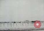 Standbild 11 Marine Division Peleliu Palau Inseln, 1944, aus Sekunde 7 historischem Filmmaterial Videoclip 65675022919