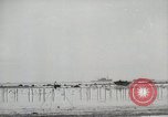 Standbild 11 Marine Division Peleliu Palau Inseln, 1944, aus Sekunde 8 historischem Filmmaterial Videoclip 65675022919