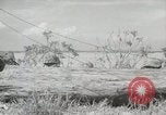 Standbild 11 Marine Division Peleliu Palau Inseln, 1944, aus Sekunde 53 historischem Filmmaterial Videoclip 65675022919