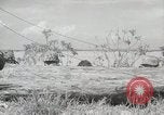 Standbild 11 Marine Division Peleliu Palau Inseln, 1944, aus Sekunde 55 historischem Filmmaterial Videoclip 65675022919