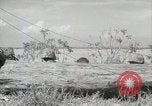 Standbild 11 Marine Division Peleliu Palau Inseln, 1944, aus Sekunde 56 historischem Filmmaterial Videoclip 65675022919