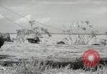 Standbild 11 Marine Division Peleliu Palau Inseln, 1944, aus Sekunde 57 historischem Filmmaterial Videoclip 65675022919