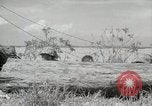 Standbild 11 Marine Division Peleliu Palau Inseln, 1944, aus Sekunde 58 historischem Filmmaterial Videoclip 65675022919