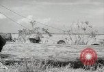 Standbild 11 Marine Division Peleliu Palau Inseln, 1944, aus Sekunde 59 historischem Filmmaterial Videoclip 65675022919