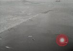 Standbild C-47 Skytrain Palau Insel Angaur, 1944, aus Sekunde 14 historischem Filmmaterial Videoclip 65675022920
