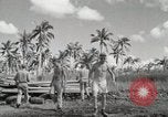 Standbild C-47 Skytrain San Pablo Philippinen, 1944, aus Sekunde 32 historischem Filmmaterial Videoclip 65675022922