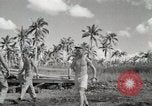 Standbild C-47 Skytrain San Pablo Philippinen, 1944, aus Sekunde 33 historischem Filmmaterial Videoclip 65675022922