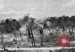 Standbild United States Marine Corps Peleliu Palau Inseln, 1944, aus Sekunde 5 historischem Filmmaterial Videoclip 65675022926