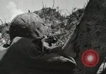 Standbild United States Marine Corps Peleliu Palau Inseln, 1944, aus Sekunde 48 historischem Filmmaterial Videoclip 65675022926