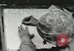 Standbild United States Marine Corps Peleliu Palau Inseln, 1944, aus Sekunde 9 historischem Filmmaterial Videoclip 65675022927