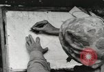 Standbild United States Marine Corps Peleliu Palau Inseln, 1944, aus Sekunde 11 historischem Filmmaterial Videoclip 65675022927