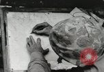 Standbild United States Marine Corps Peleliu Palau Inseln, 1944, aus Sekunde 12 historischem Filmmaterial Videoclip 65675022927