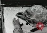 Standbild United States Marine Corps Peleliu Palau Inseln, 1944, aus Sekunde 15 historischem Filmmaterial Videoclip 65675022927