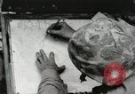 Standbild United States Marine Corps Peleliu Palau Inseln, 1944, aus Sekunde 16 historischem Filmmaterial Videoclip 65675022927