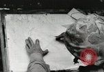 Standbild United States Marine Corps Peleliu Palau Inseln, 1944, aus Sekunde 17 historischem Filmmaterial Videoclip 65675022927