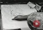 Standbild United States Marine Corps Peleliu Palau Inseln, 1944, aus Sekunde 24 historischem Filmmaterial Videoclip 65675022927