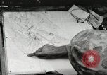 Standbild United States Marine Corps Peleliu Palau Inseln, 1944, aus Sekunde 25 historischem Filmmaterial Videoclip 65675022927