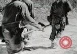 Image of Major General William H  Rupertus Peleliu Palau Islands, 1944, second 59 stock footage video 65675022928