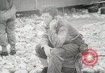 Image of United States Marine Corps Peleliu Palau Islands, 1944, second 1 stock footage video 65675022930