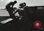 Image of United States Marine Corps Peleliu Palau Islands, 1944, second 21 stock footage video 65675022930