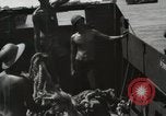 Image of United States Marine Corps Peleliu Palau Islands, 1944, second 45 stock footage video 65675022930