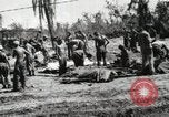 Image of United States Marine Corps Peleliu Palau Islands, 1944, second 6 stock footage video 65675022931
