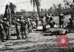 Image of United States Marine Corps Peleliu Palau Islands, 1944, second 15 stock footage video 65675022931