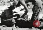Image of United States Marine Corps Peleliu Palau Islands, 1944, second 23 stock footage video 65675022931
