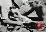 Image of United States Marine Corps Peleliu Palau Islands, 1944, second 37 stock footage video 65675022931