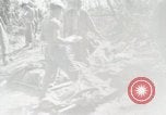 Image of United States Marine Corps Peleliu Palau Islands, 1944, second 42 stock footage video 65675022931