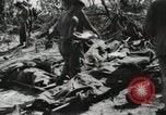 Image of United States Marine Corps Peleliu Palau Islands, 1944, second 43 stock footage video 65675022931