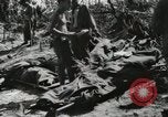 Image of United States Marine Corps Peleliu Palau Islands, 1944, second 46 stock footage video 65675022931