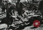 Image of United States Marine Corps Peleliu Palau Islands, 1944, second 51 stock footage video 65675022931