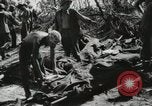 Image of United States Marine Corps Peleliu Palau Islands, 1944, second 52 stock footage video 65675022931