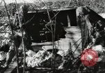 Standbild United States Marine Corps Peleliu Palau Inseln, 1944, aus Sekunde 41 historischem Filmmaterial Videoclip 65675022932