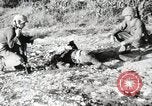 Standbild United States Marine Corps Peleliu Palau Inseln, 1944, aus Sekunde 52 historischem Filmmaterial Videoclip 65675022932